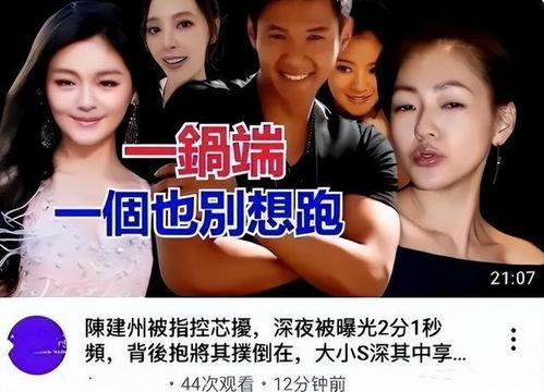 台媒爆料大s视频全集,惊人真相曝光  第1张