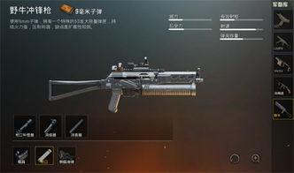 刺激战场爆料ss5最新,全新地图与玩法，带你领略战场新篇章  第1张